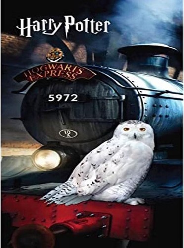 Harry potter strandtuch - potter,